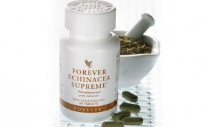 Forever Echinacea Supreme